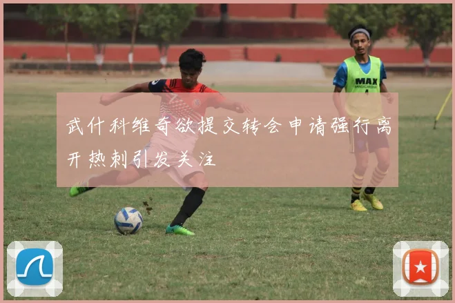 武什科维奇欲提交转会申请强行离开热刺引发关注