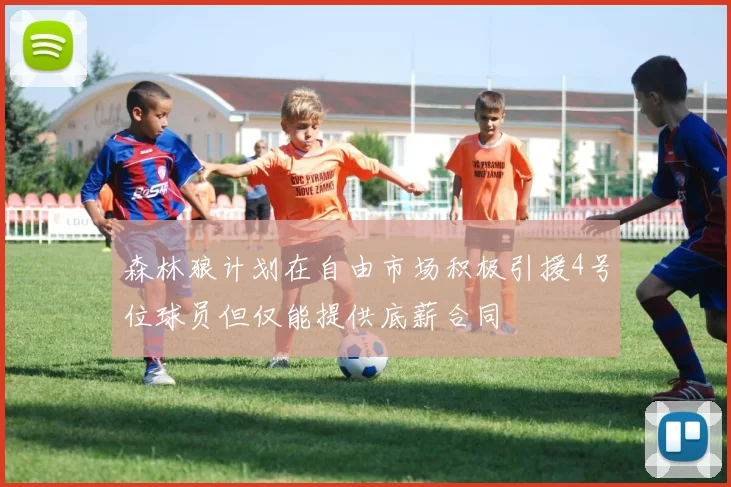 森林狼计划在自由市场积极引援4号位球员但仅能提供底薪合同